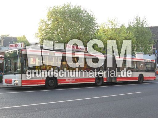 Gelenkbus.JPG